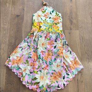 Nwt farm rio Guaragarden Euroflax Premium Linen Sleeveless Midi Dress - L